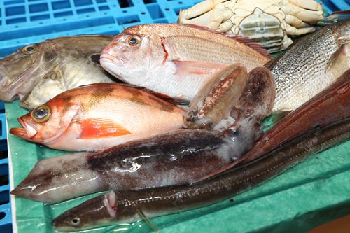 那珂湊漁港地魚セット