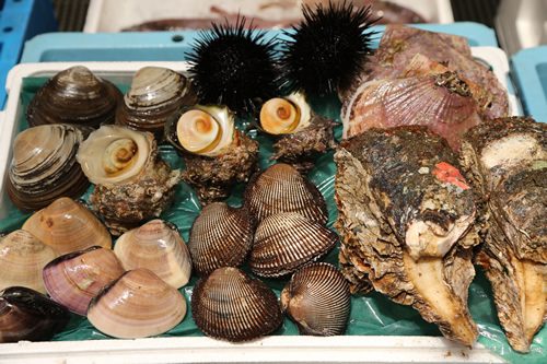 海産物